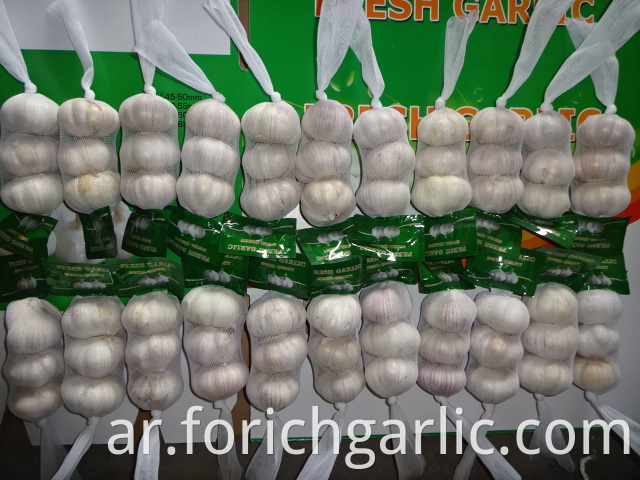 Normal White Garlic Small Bag